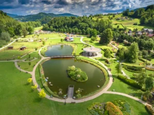 Pellentesque nibh aenean quam